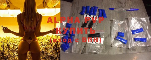 прущие крисы Белокуриха
