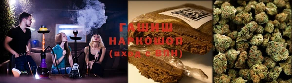 прущие крисы Белокуриха