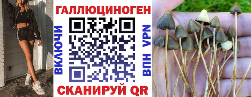 закладка  Рязань  Галлюциногенные грибы мицелий 