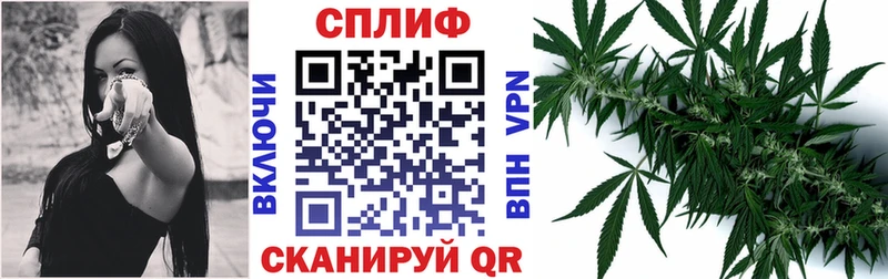 МЕГА маркетплейс  Рязань  даркнет клад  Каннабис Amnesia 